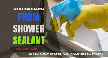 Effective Ways to Remove Black Mold from Shower Sealant