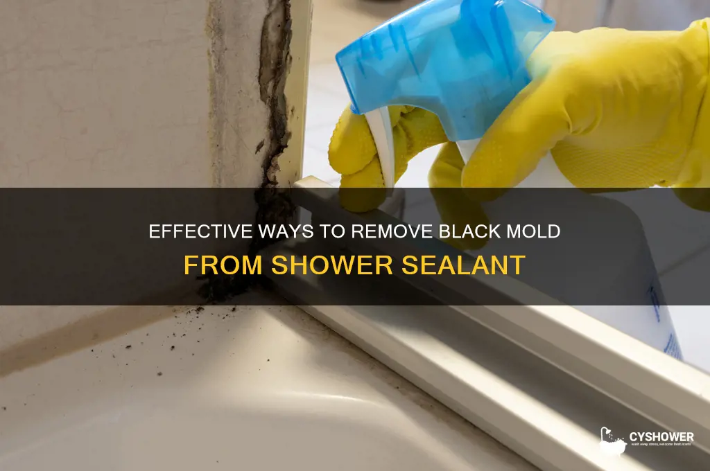 how to remove black mold from shower sealant