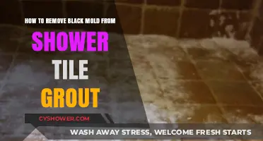 Effective Ways to Remove Black Mold from Shower Tile Grout