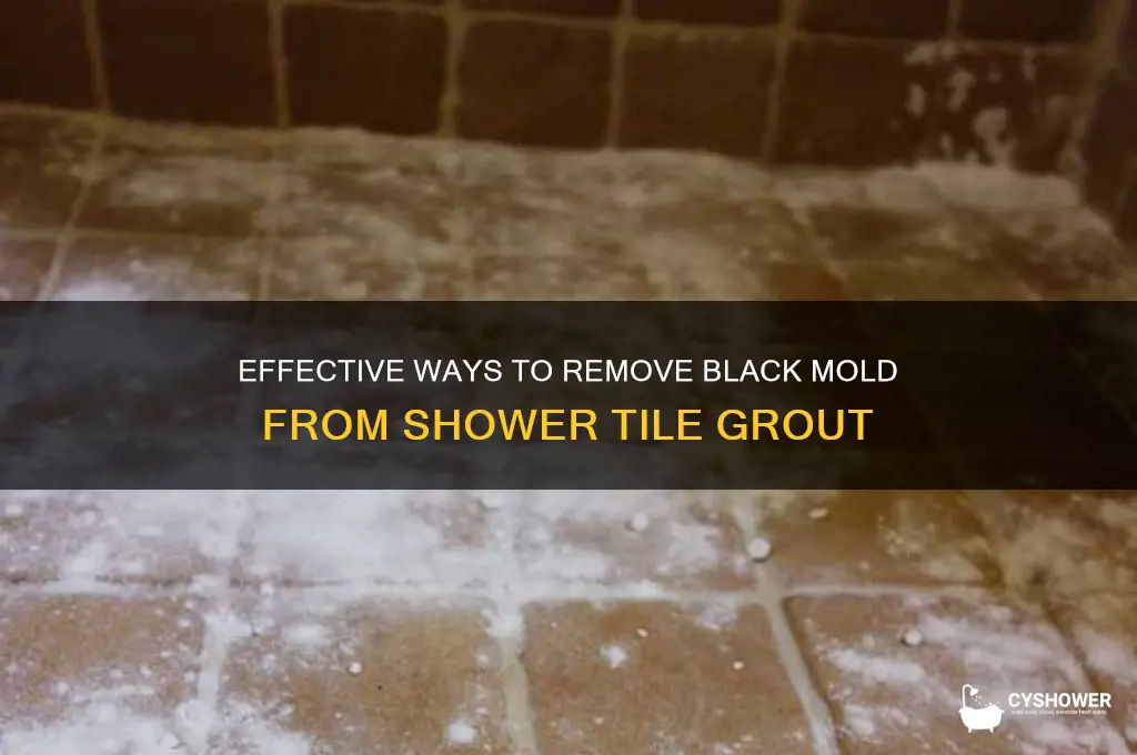 how to remove black mold from shower tile grout