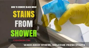 Effective Ways to Remove Black Mold Stains from Your Shower