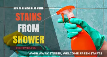 Effective Ways to Eliminate Blue Water Stains from Your Shower