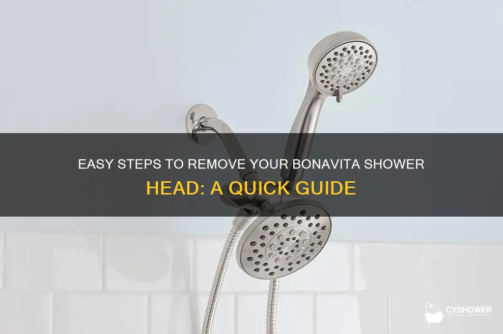 how to remove bonavita shower head
