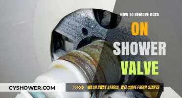 Easy Steps to Remove a Stuck Boss on Shower Valve