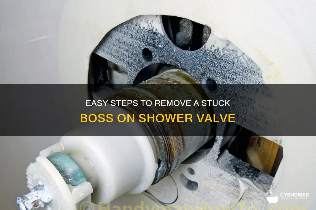 how to remove boss on shower valve