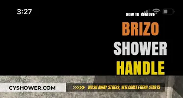 Easy Steps to Remove Your Brizo Shower Handle Effortlessly