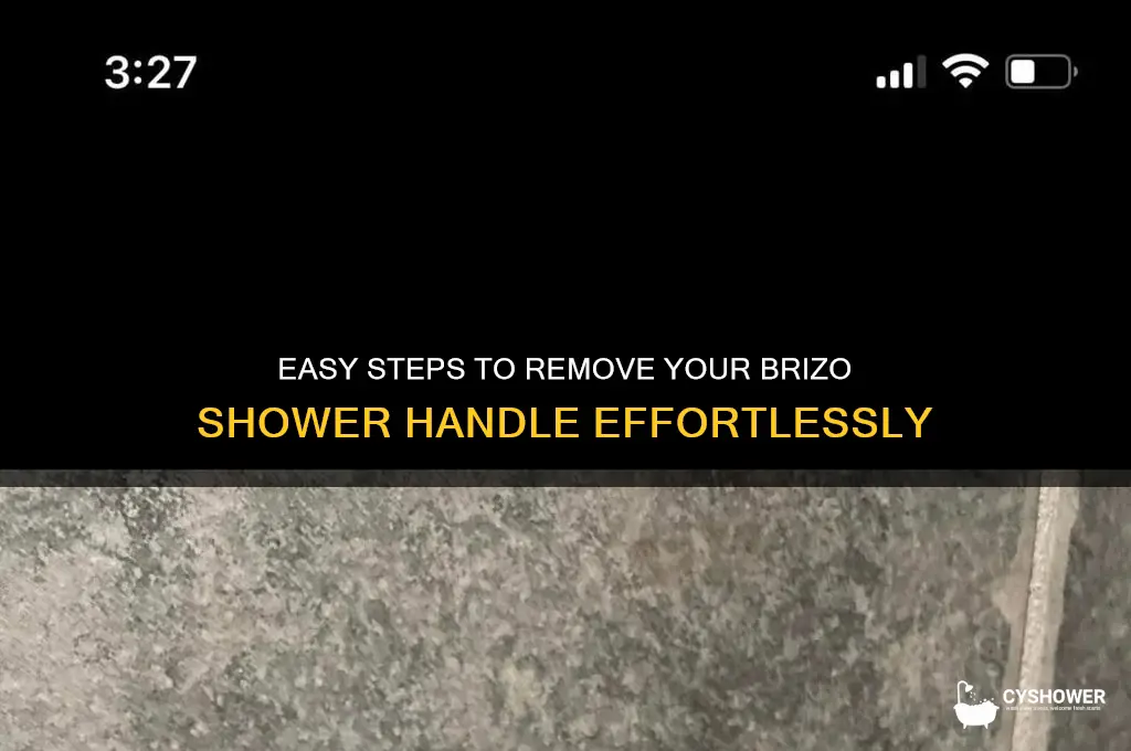 how to remove brizo shower handle