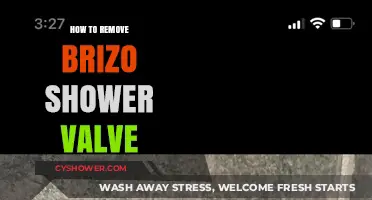 Easy Steps to Remove Your Brizo Shower Valve: A DIY Guide