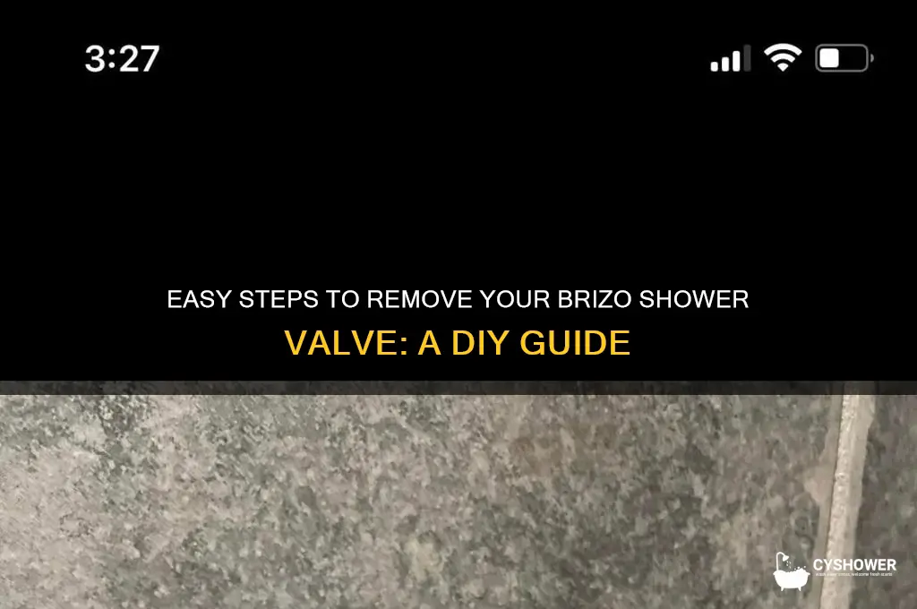how to remove brizo shower valve
