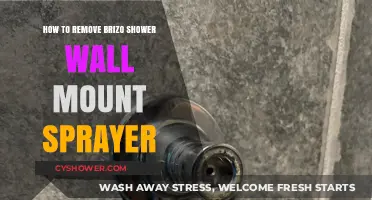 Easy Steps to Remove Your Brizo Shower Wall Mount Sprayer