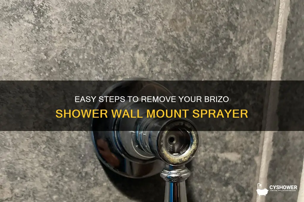 how to remove brizo shower wall mount sprayer