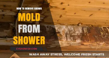 Effective Ways to Eliminate Brown Mold from Your Shower Quickly