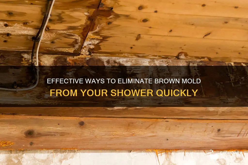 how to remove brown mold from shower