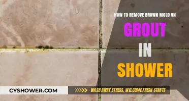 Effective Ways to Remove Brown Mold from Shower Grout