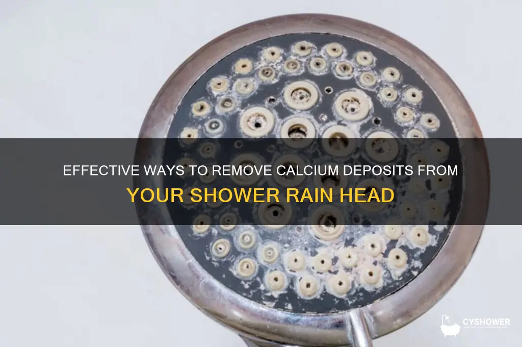 how to remove calcium deposits from a shower rain head