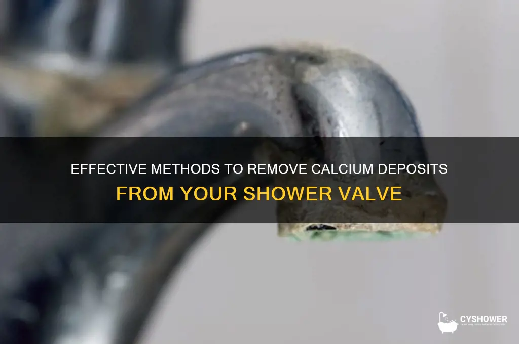 how to remove calcium deposits from a shower valve