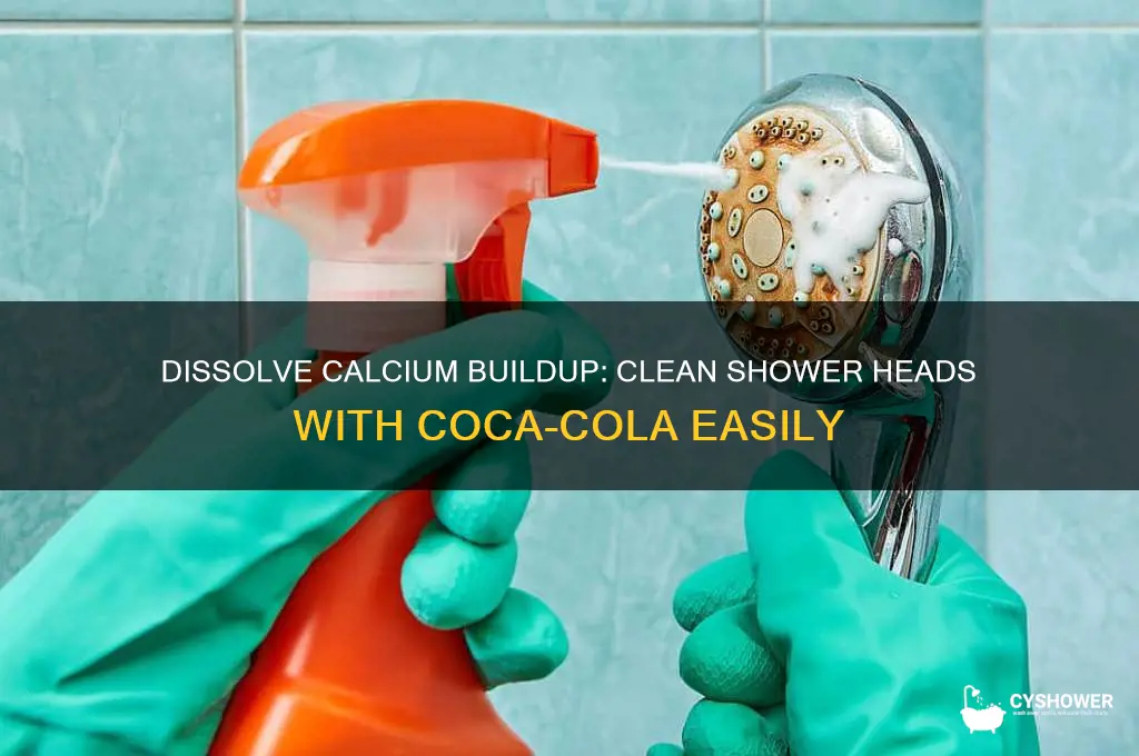 how to remove calcium from shower head with coca cola