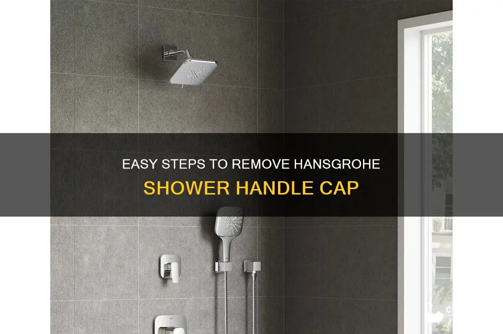how to remove cap from hansgroh shower handle