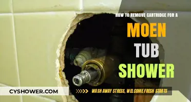 Easy Guide to Removing a Moen Tub Shower Cartridge