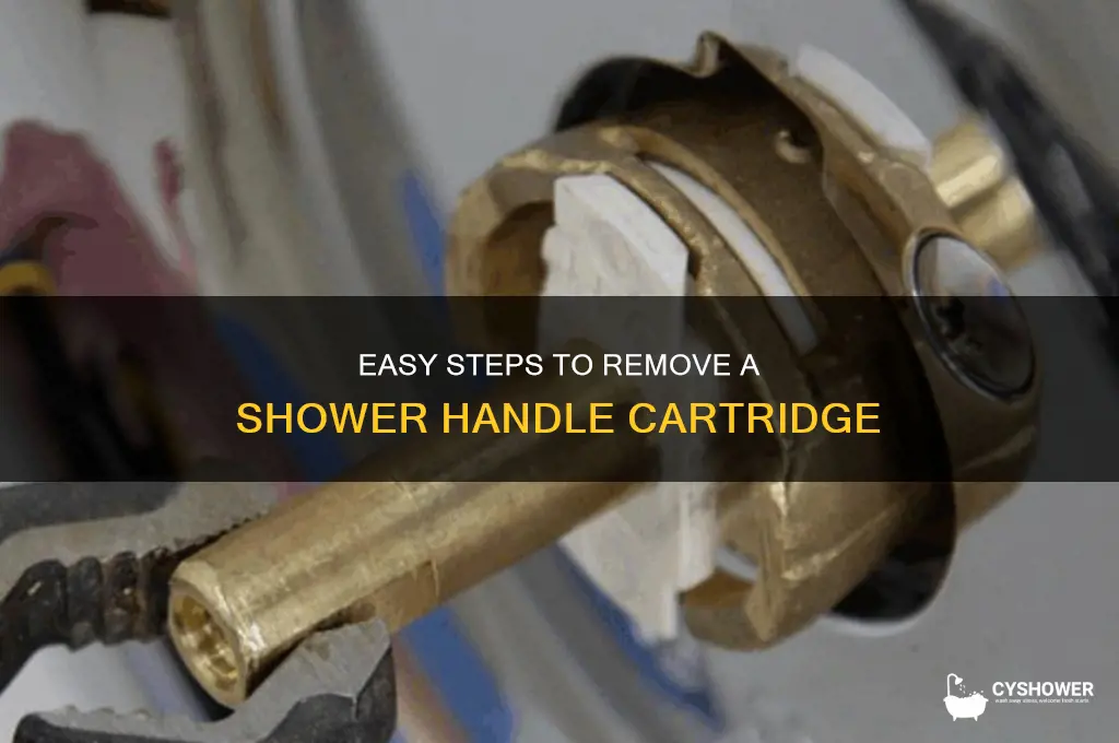 how to remove cartridge from shower handle