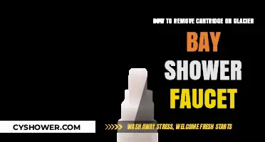 Easy Steps to Remove Glacier Bay Shower Faucet Cartridge