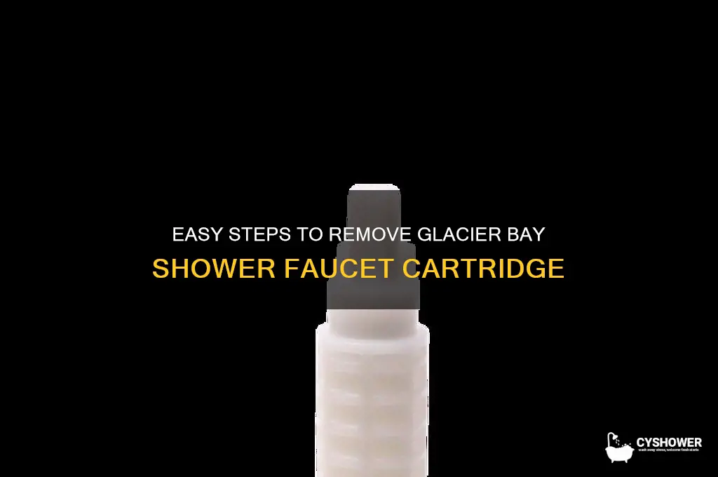 how to remove cartridge on glacier bay shower faucet