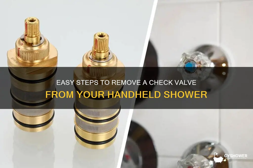 how to remove checkvalve from shower hand held
