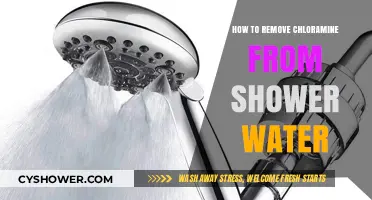 Effective Ways to Remove Chloramine from Your Shower Water