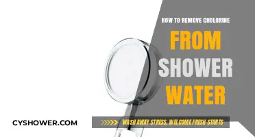 Effective Ways to Remove Chlorine from Your Shower Water