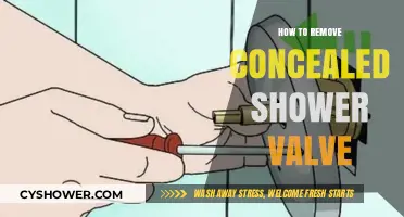 Step-by-Step Guide to Removing a Concealed Shower Valve Easily