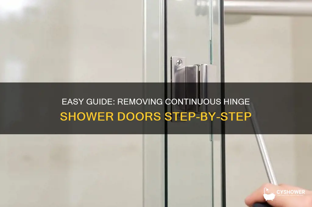 how to remove continuous hinge shower door