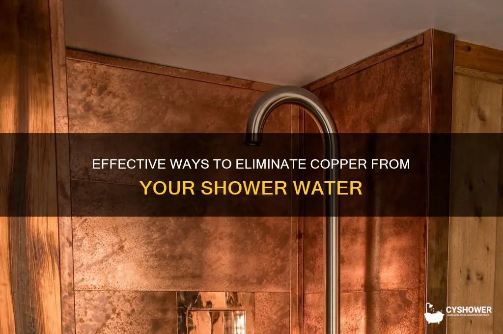how to remove copper from shower water
