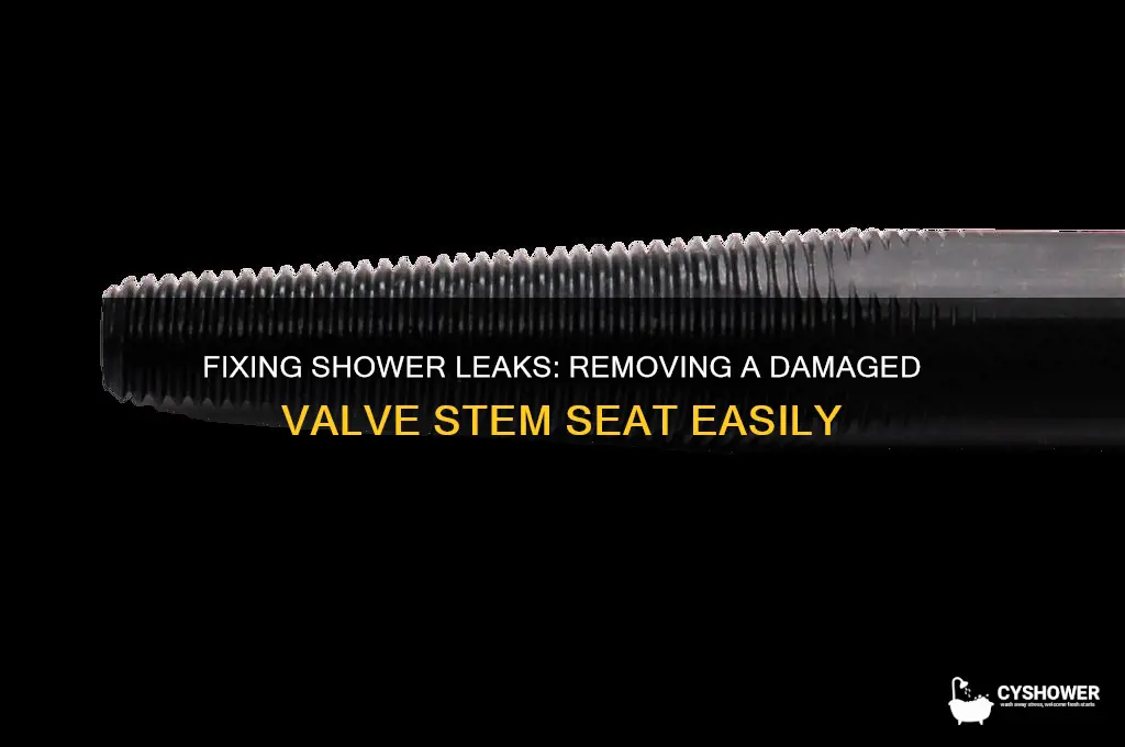 how to remove damaged valve stem seat in shower