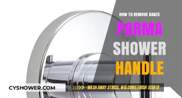 Easy Steps to Remove Your Danze Parma Shower Handle