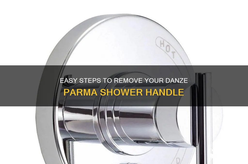 how to remove danze parma shower handle