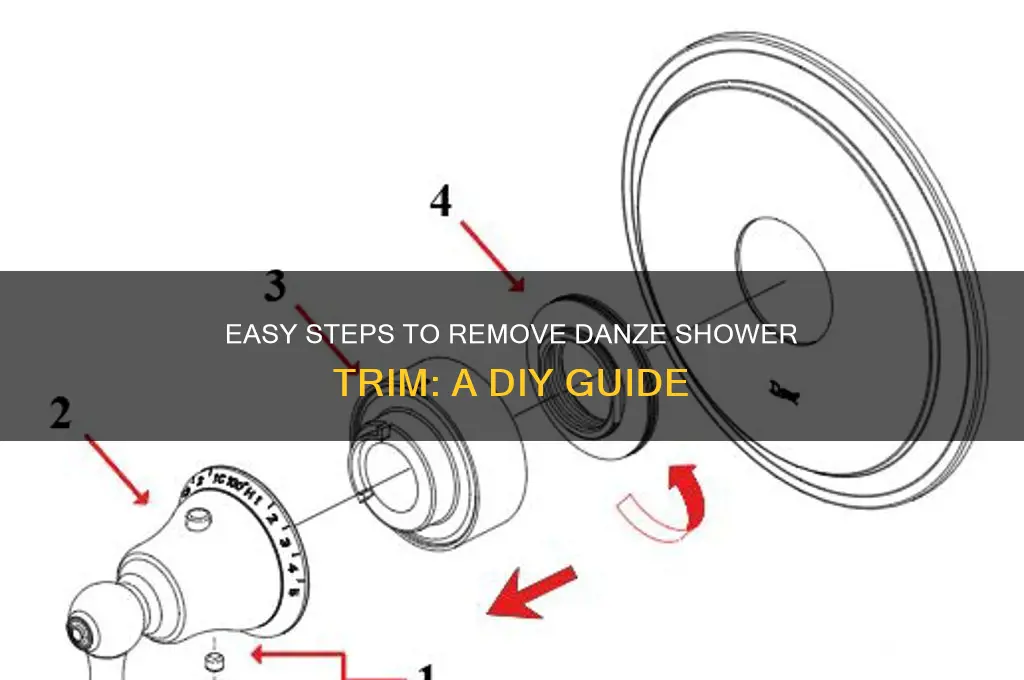 how to remove danze shower trim