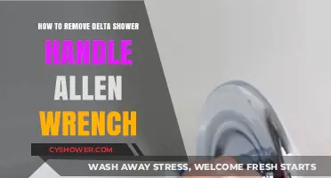 Easy Steps to Remove Delta Shower Handle with Allen Wrench