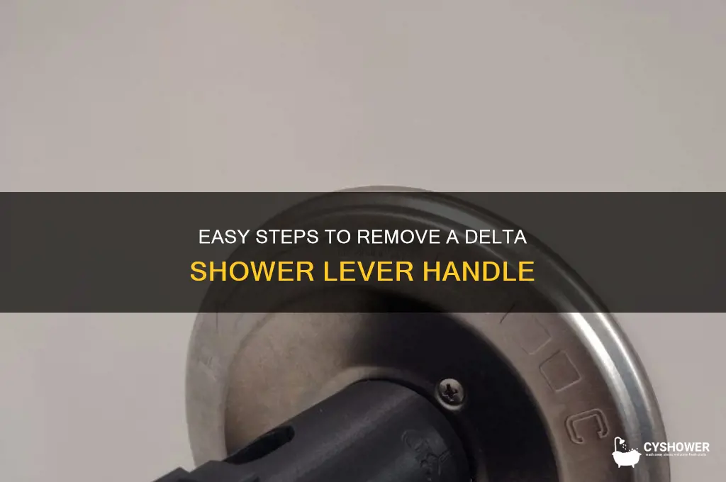 how to remove delta shower lever