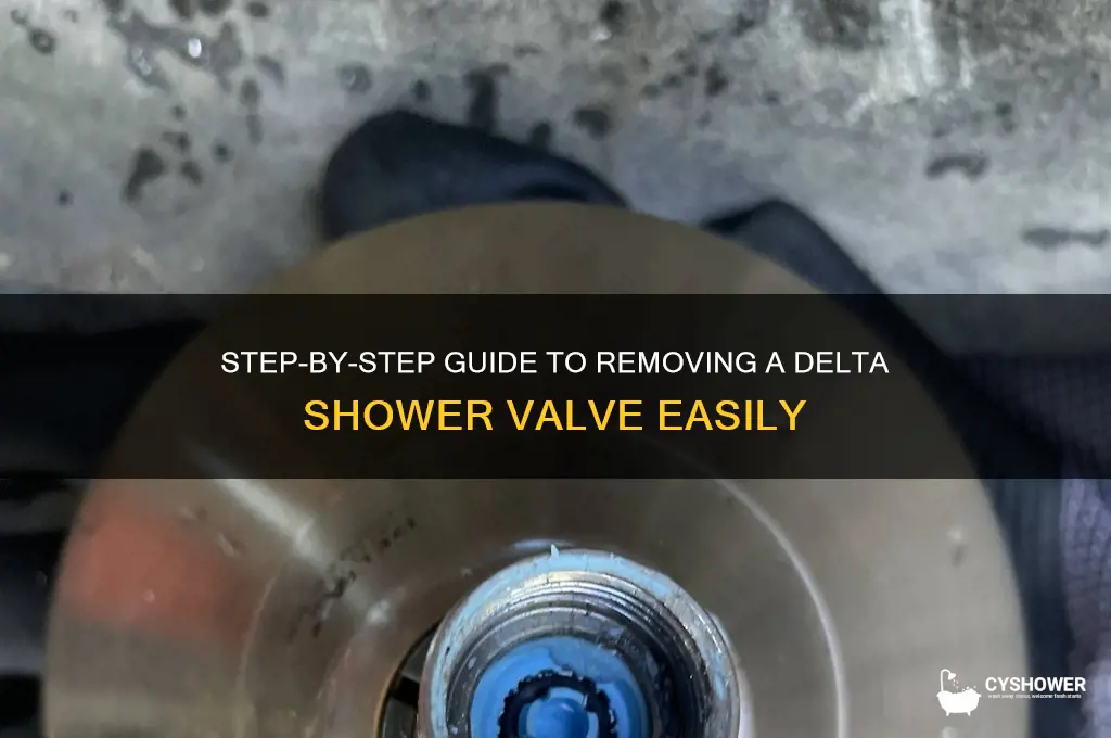 how to remove delta shower valve