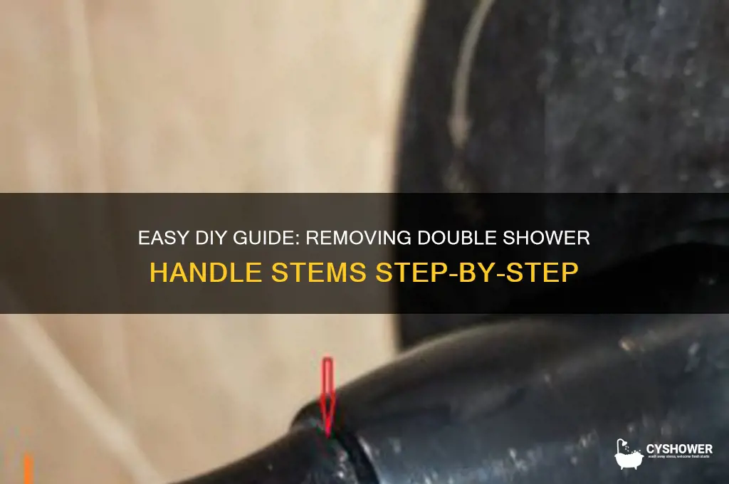 how to remove double shower handle stems