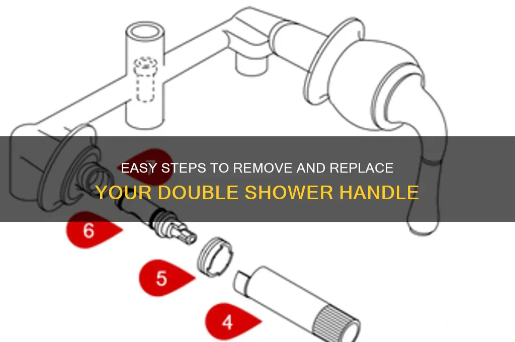 how to remove double shower handle