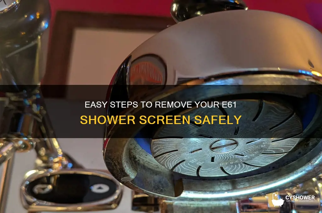 how to remove e61 shower screen