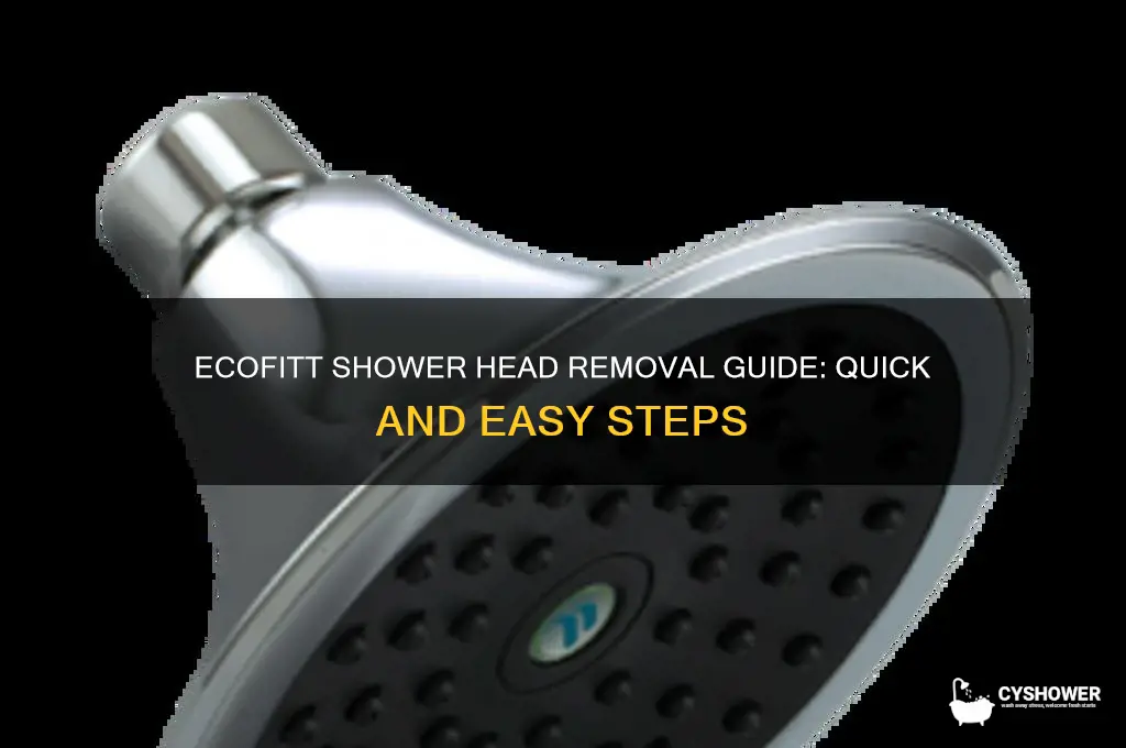how to remove ecofitt shower head