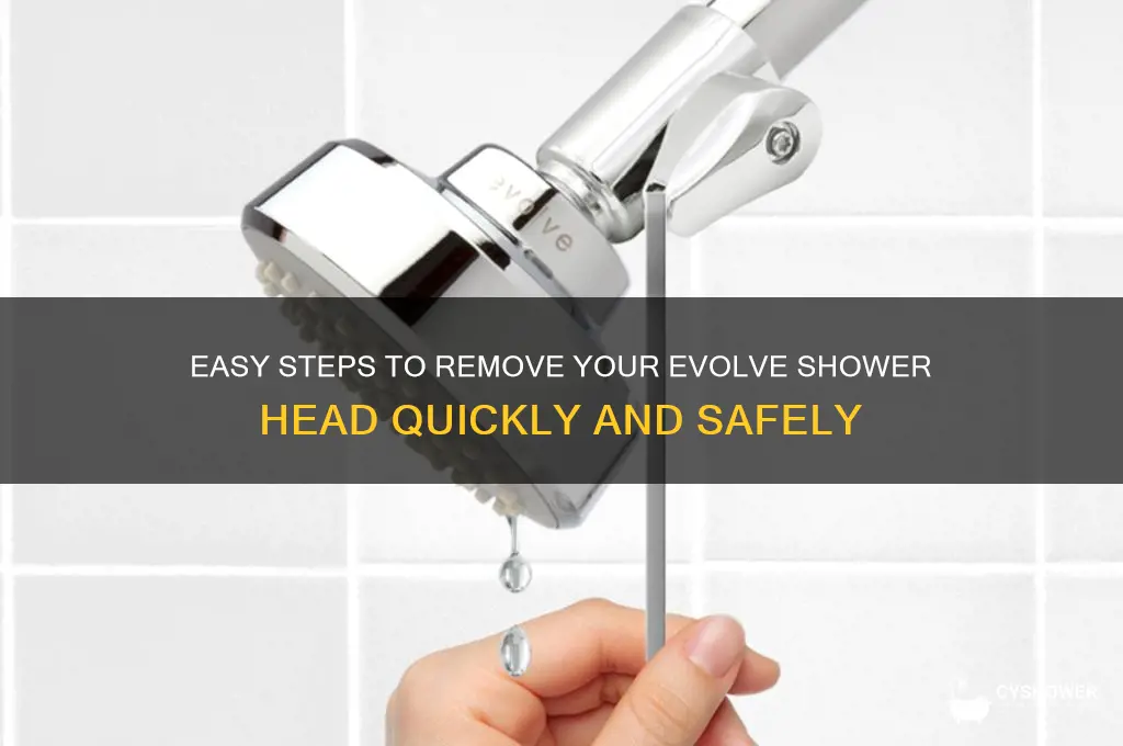 how to remove evolve shower head