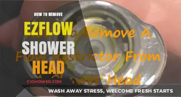 Easy Steps to Remove Your EzFlow Shower Head Quickly and Safely
