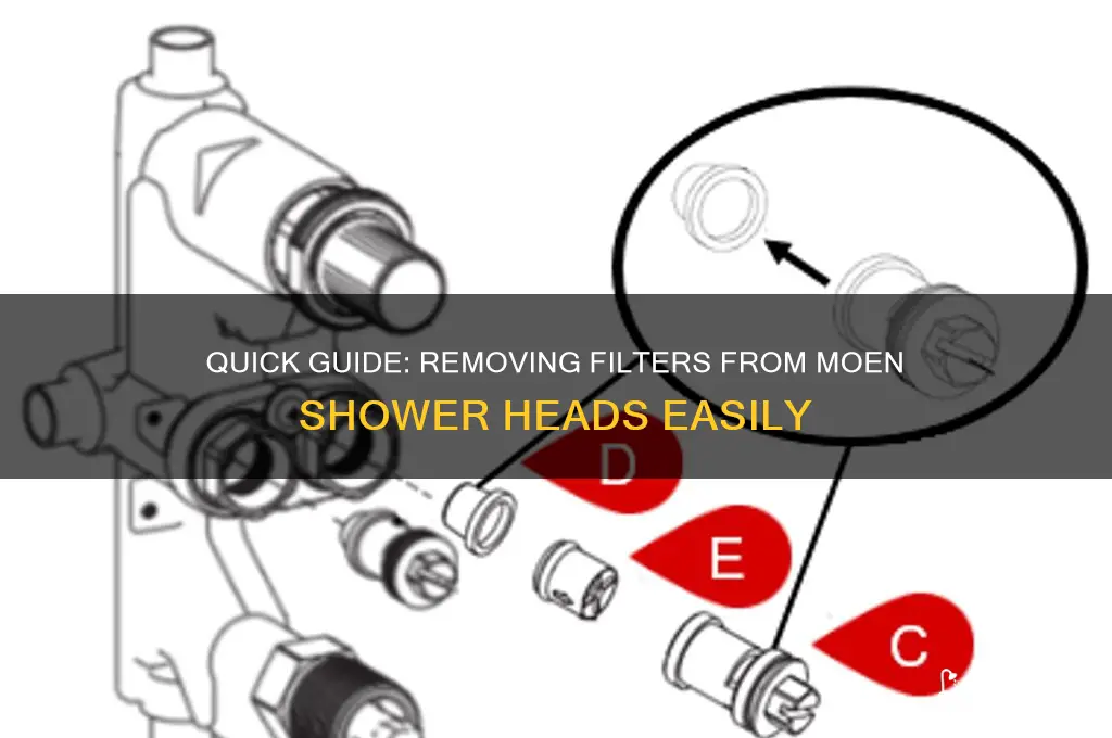 how to remove filter from moen shower head