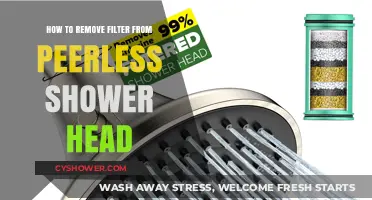 Easy Steps to Remove Filter from Peerless Shower Head