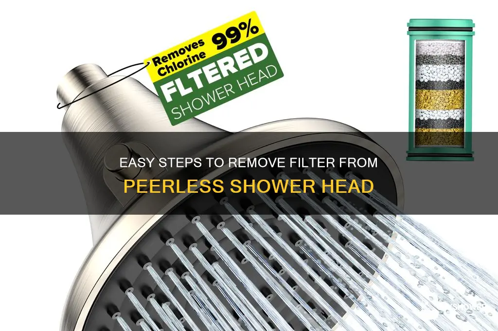 how to remove filter from peerless shower head
