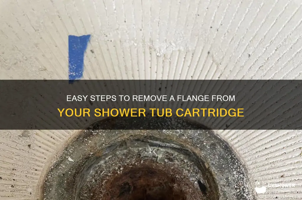 how to remove flange from shower tub cartridge