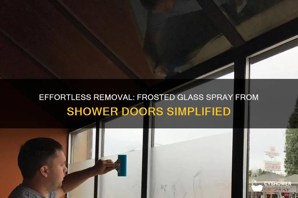 how to remove frosted glass spray from shower door